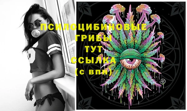 спайс Алзамай