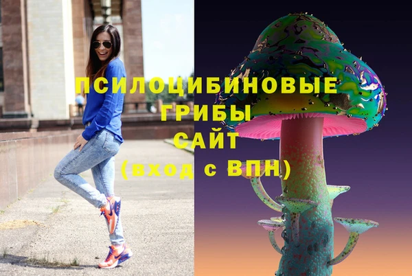 спайс Алзамай