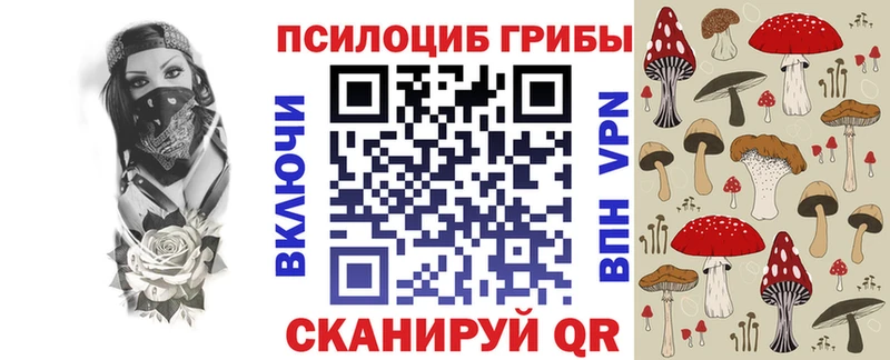 магазин  наркотиков  Новодвинск  Псилоцибиновые грибы мицелий 